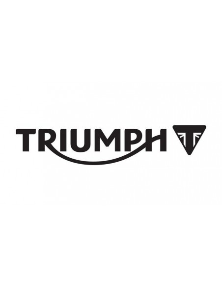KIT DISCOS EMBRAGUE TRIUMPH NEWFREN