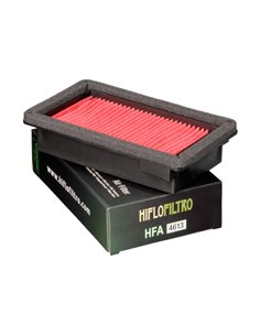 FILTRO AIRE HIFLOFILTRO HFA4613